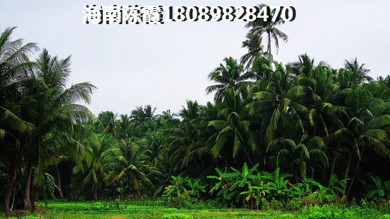 如今是否还会选择在上海买房？2