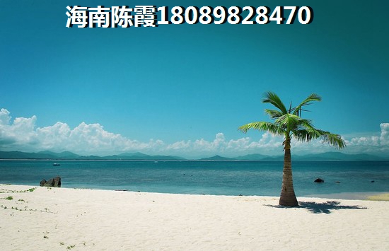 上海房价照旧一直涨？