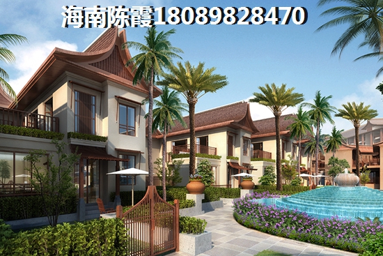 碧桂园 十里外滩 一居  户型图