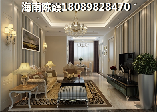 印象欧洲城 两居  户型图
