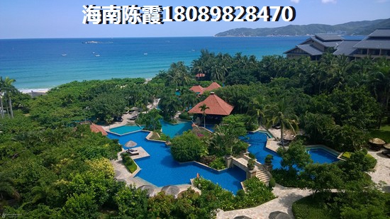 虹桥中园 两居  户型图