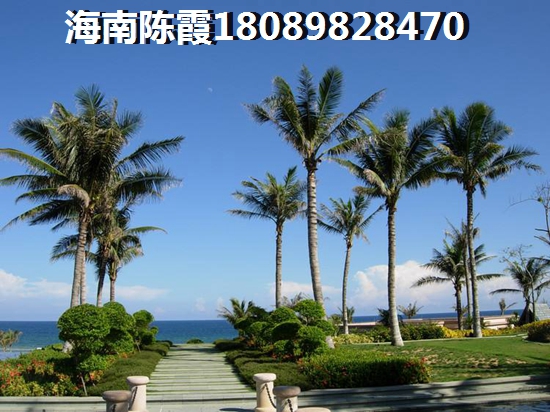 金龙商业城 景观园林 