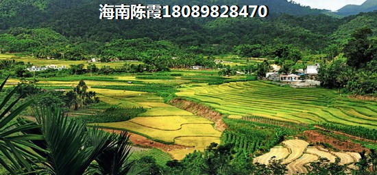 天馨花园